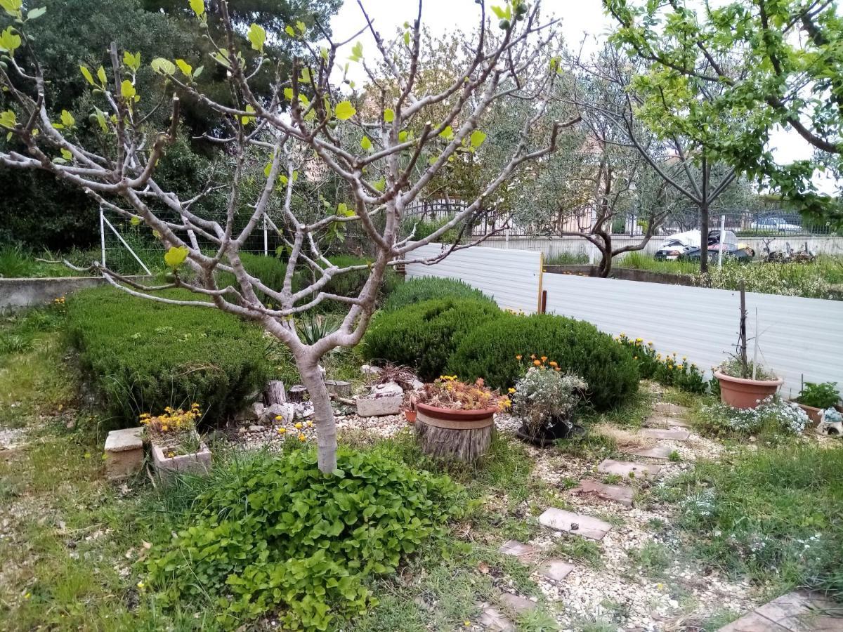 Apartments Vanja Skara Biograd Biograd Na Moru Zewnętrze zdjęcie
