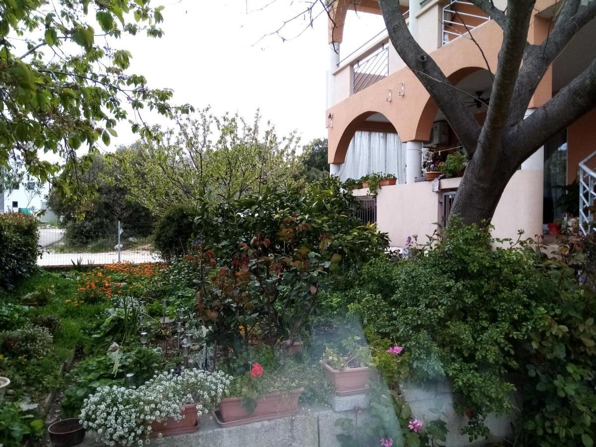 Apartments Vanja Skara Biograd Biograd Na Moru Zewnętrze zdjęcie