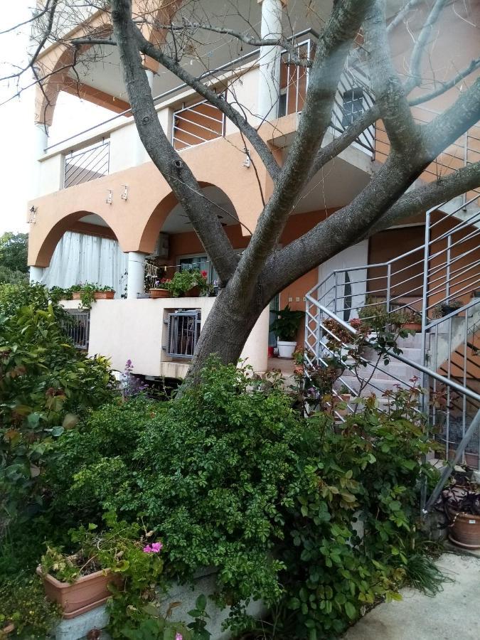 Apartments Vanja Skara Biograd Biograd Na Moru Zewnętrze zdjęcie
